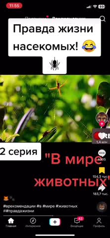 VID_20240424_115736_201