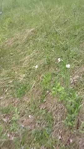 вновь я посетил