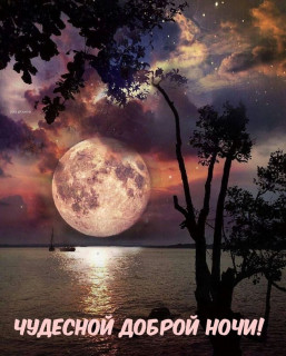 IMG-9568eb2e617dc02b00f64330f1dbdc91-V