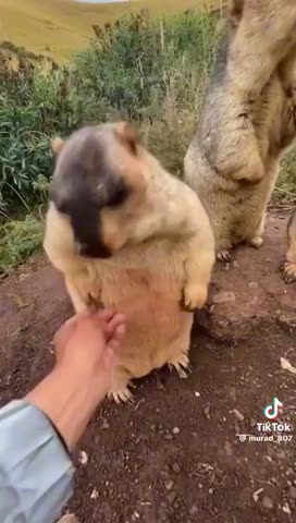 1bf270247a23fd1fd25fae21cad6e2d4