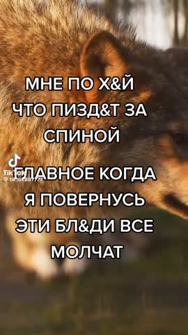 Когда я повернусь