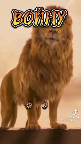 Самной дружить надо