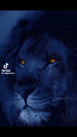 Опять поверил