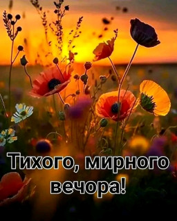 FB_IMG_17141467087795934