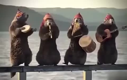 бобры_музыканты