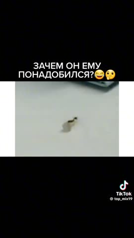 7f7e02217cf626ca5a7828bfc290373a