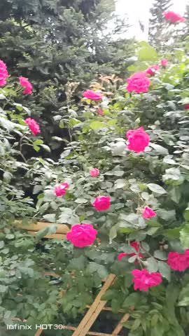 VID_20240430_122326