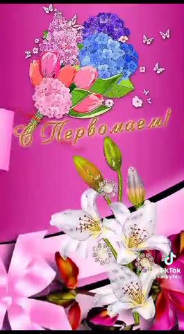VID-20240501-WA0004