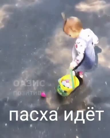 video-06190f2a6ed7413bbef0ff10b20340b2-V