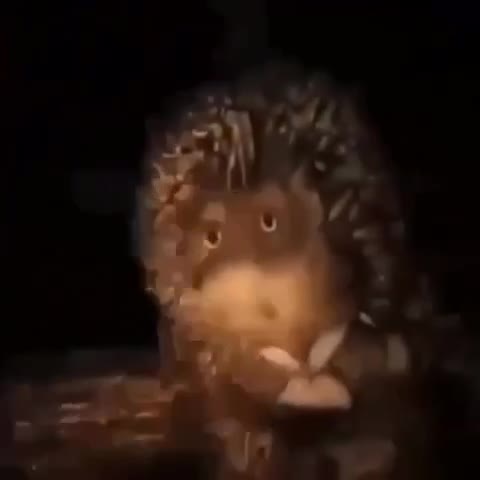 -Молодежь-СССР-