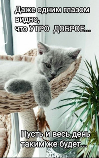 IMG_20240506_083019_917