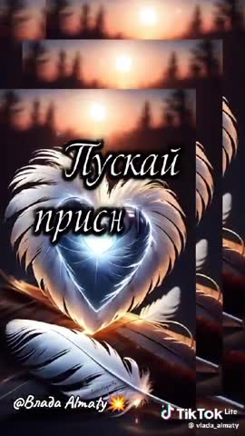 VID_20240508_233549_348