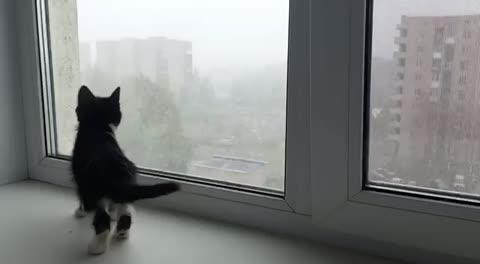 вот_такая_херня_сегодня