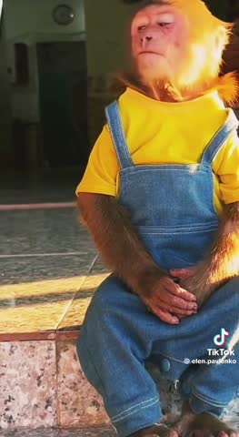 букет_весенних_роз