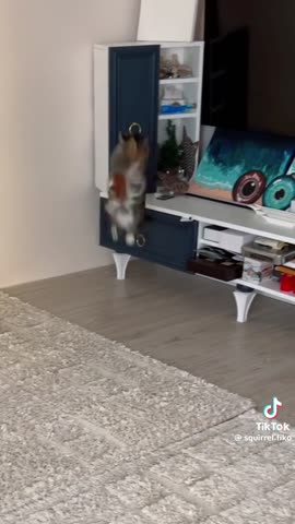 кто_в_доме_хозяин
