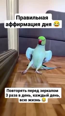 Аффирмация