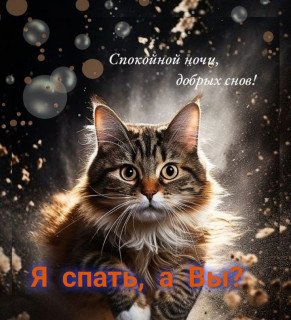 IMG-570d9a23273f351674732f260d0f6c33-V