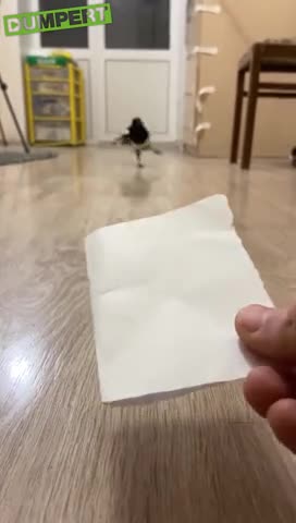 -Умный-Выбор-