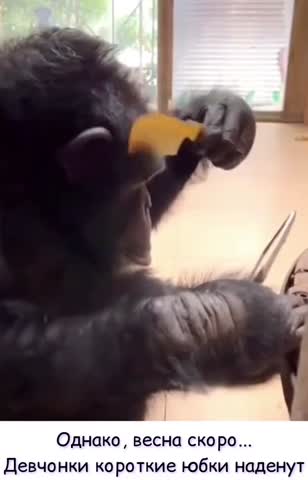 весна_наступает