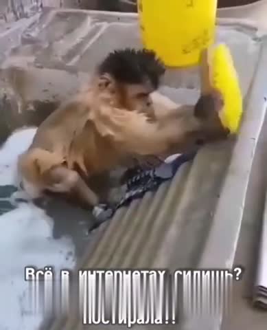 генеральная_стирка