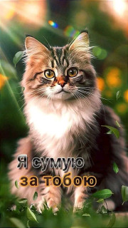 FB_IMG_17162953846236780