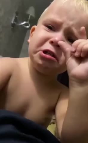 Титю погладить