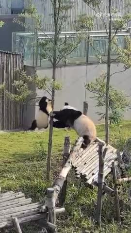 -Все-таки-упал-