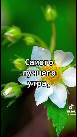 6b18111cdfac91dd495cd8aa9fe5a1a5