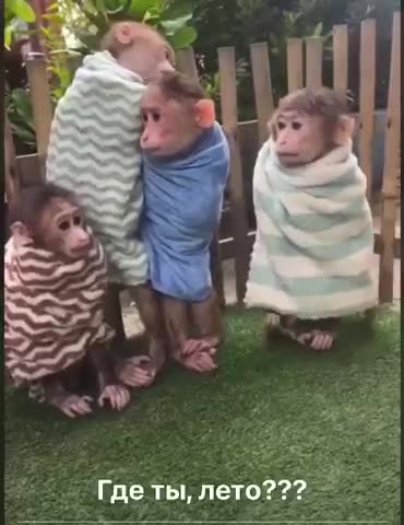 где_же_лето