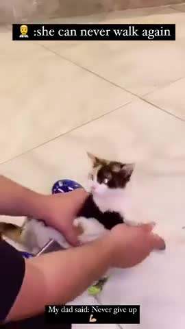 мужик_красава