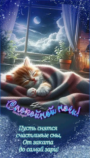 FB_IMG_17169262649053821