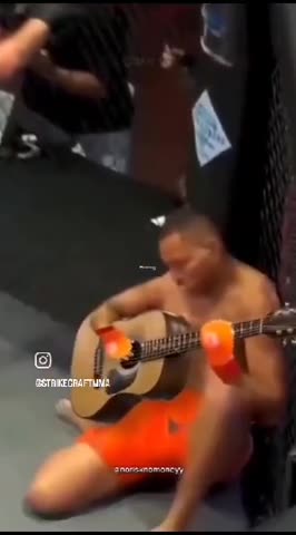 смешанные_единоборства_3