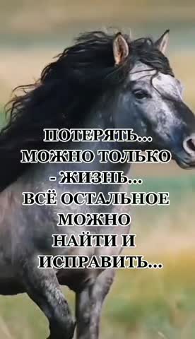 ssstik_io_esmi___5377_1717055016344