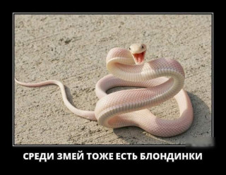 UID1277607_1604937096_74