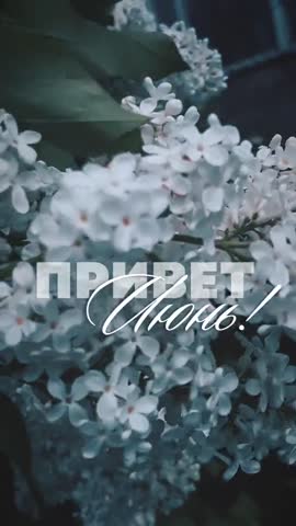 06f24d58db83cd7f15bf4f379167196f