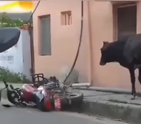 изначально_пошло_не_так