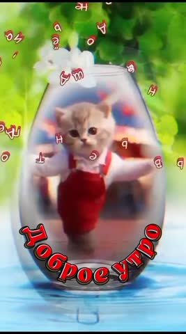 -Доброе-утро-