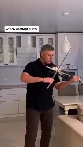 скрипка_соло