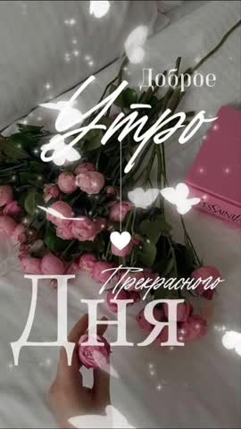 VID_20240606_083438_987