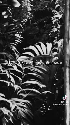 66f755359fd86dc253d231aa898c7f09