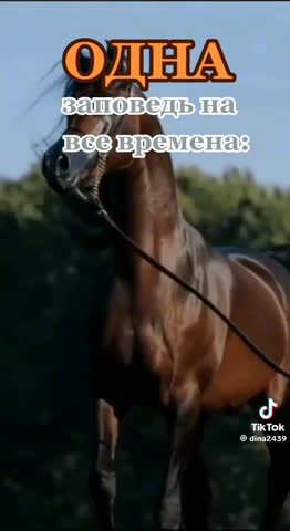 454542581f45d464822caee067b191a5