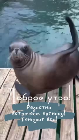 VID_20240607_080702_169