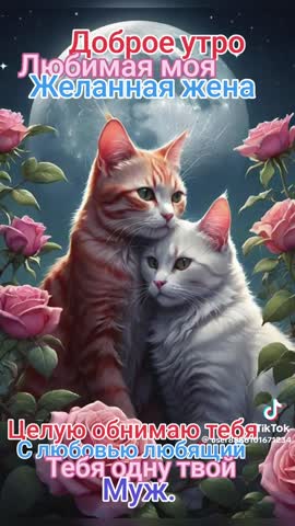 d7c7a8742b7aea6aaf692977e9e2687b