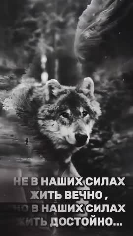 FbVideo_1712471722541