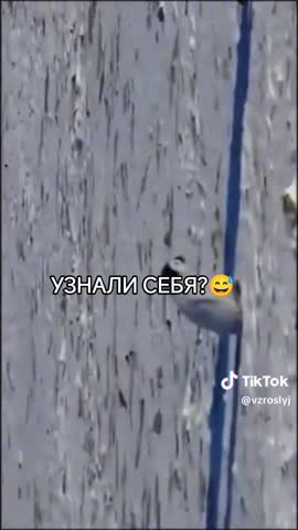 Узнай себя