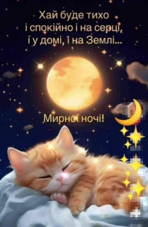 IMG_20240609_231107_530