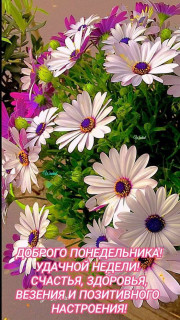 IMG-ccb018779cee6829dd6aa4426d8cc338-V