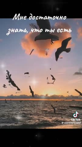 126eae8009cc1a420458d86c4d423780