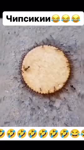 чипсики