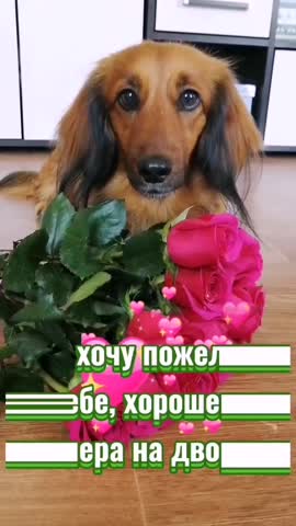 4_6024777688135238726